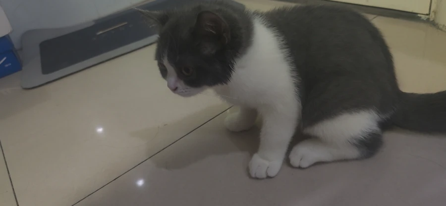 10604603983934 | 小米辣全系列